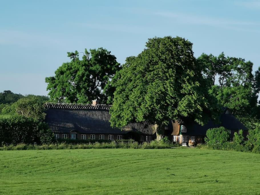 Hof Osterfeld Mittelangeln Exterior foto